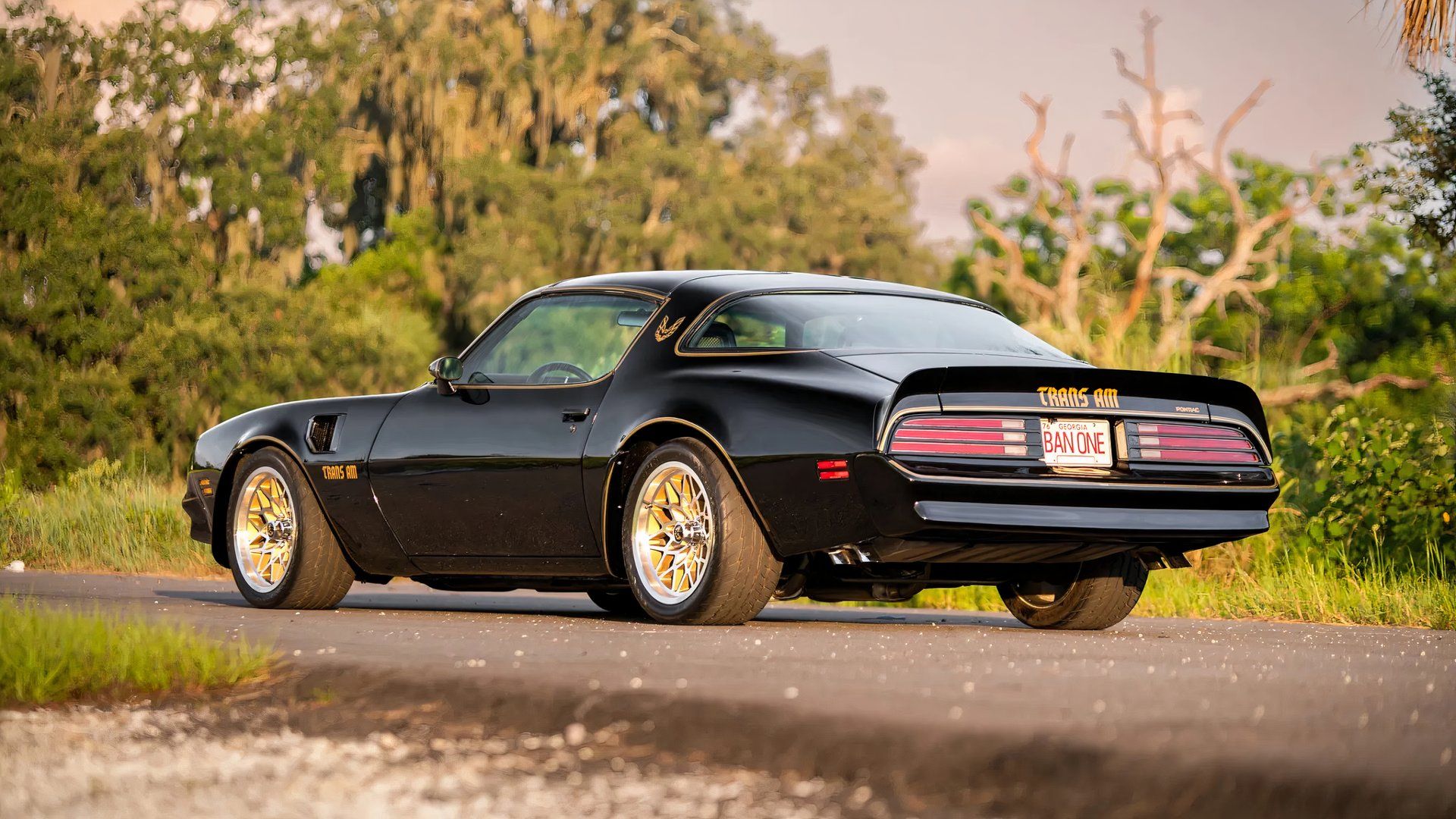 trans-am.jpg?fit=crop&w=480&h=270
