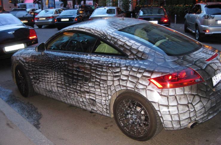 24 Paint And Wrap Jobs People Actually Tried On Their Cars