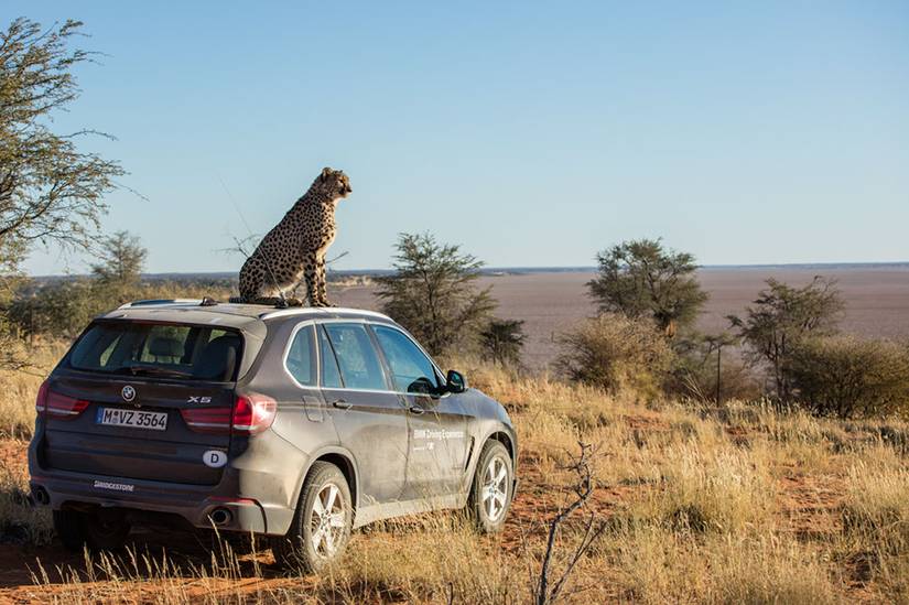 20 Countries Where No One Should Drive (And 5 Of The Safest)