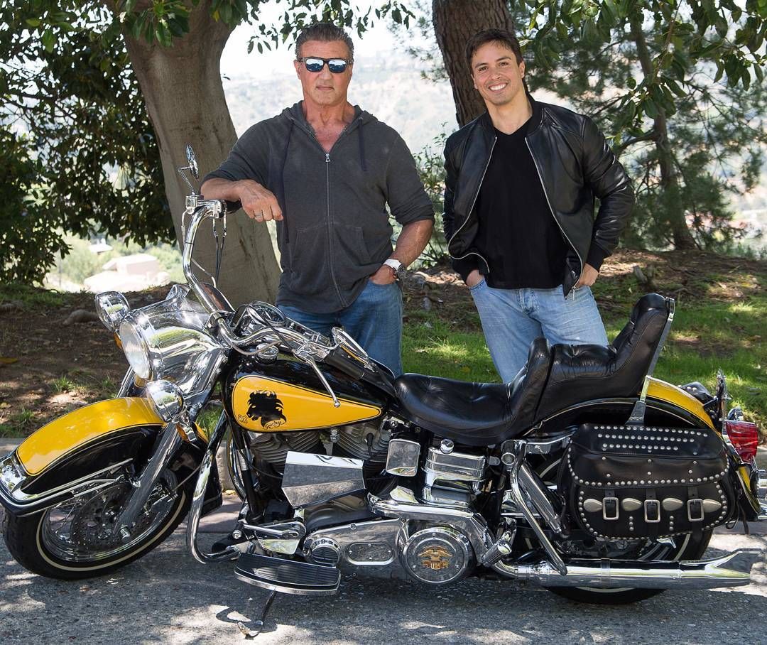 sylvester stallone harley davidson