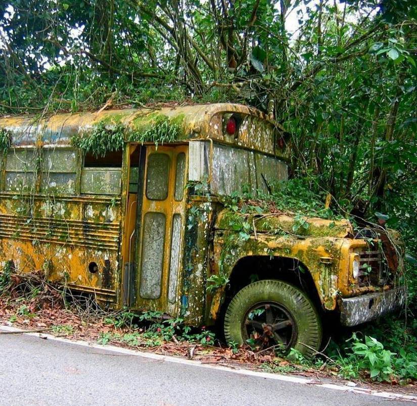 22 Mysterious Pictures Of Deserted Buses