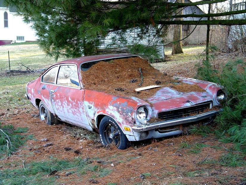 10 GM Cars That Were Rust Buckets (And 10 That Never Rusted)