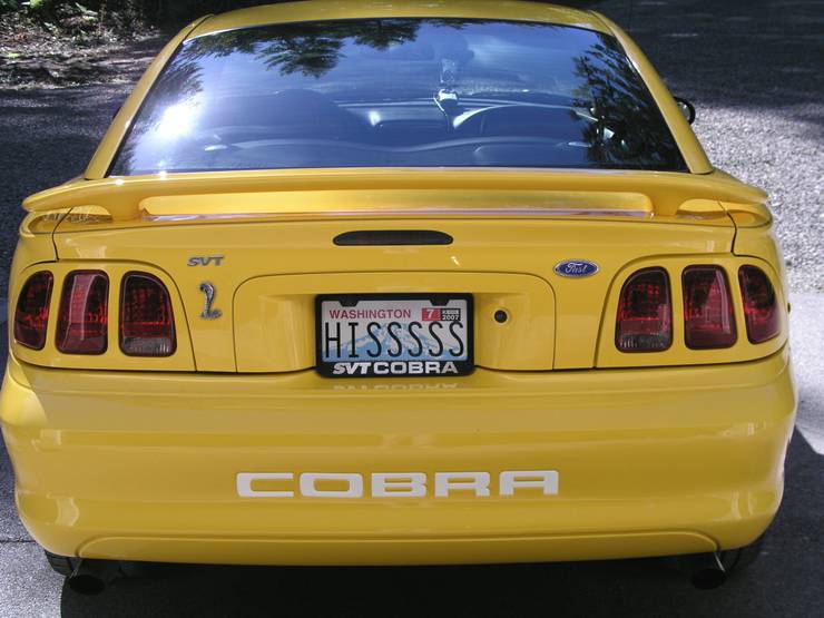 20 Ridiculous License Plates People Got Away With On The Road