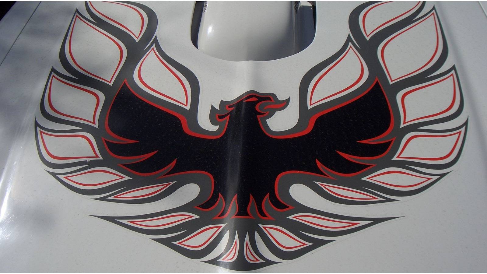 10 Things You Didn't Know About The Pontiac Firebird