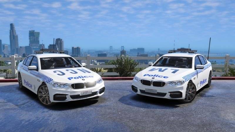 10 Muscle Car Models That Police Departments Actually Use