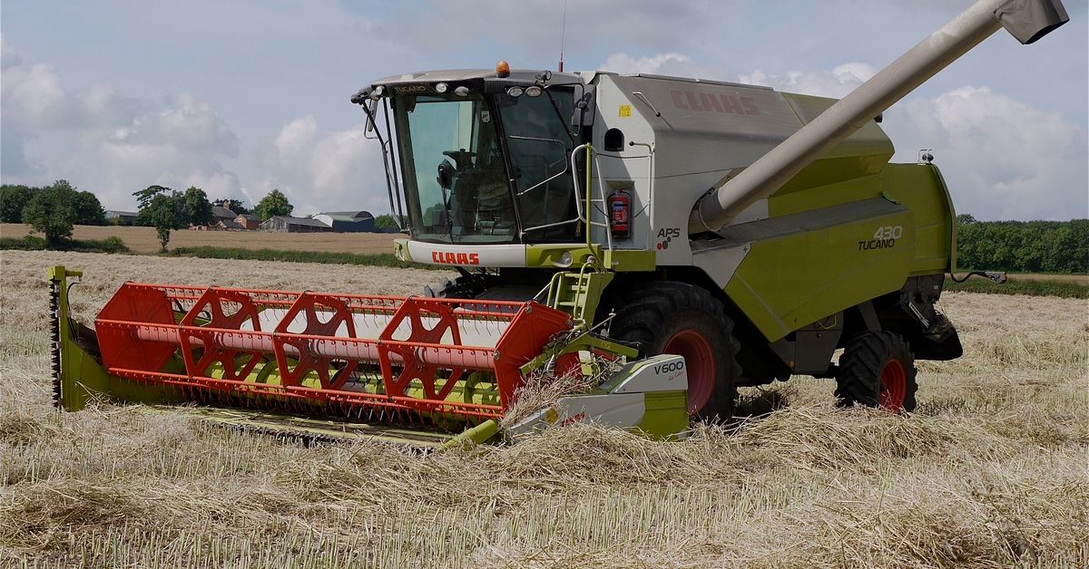 onvaya auto sonnensegel ONVAYA® Auto-Sonnensegel | Schutz vor Wind, Regen, Sonne (UV99) | 6 Aufbauvarianten | Schneller und einfacher Aufbau pinion depth Farbe:Blau - Cat. 2 Chico Hängemattengestell Terra 360