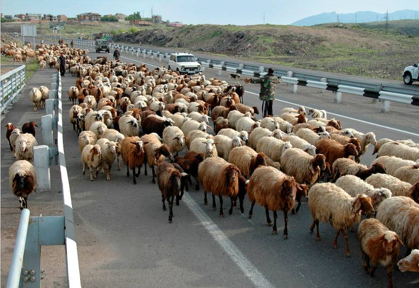 These Are The Strangest Driving Laws That Leave Us Scratching Our Heads