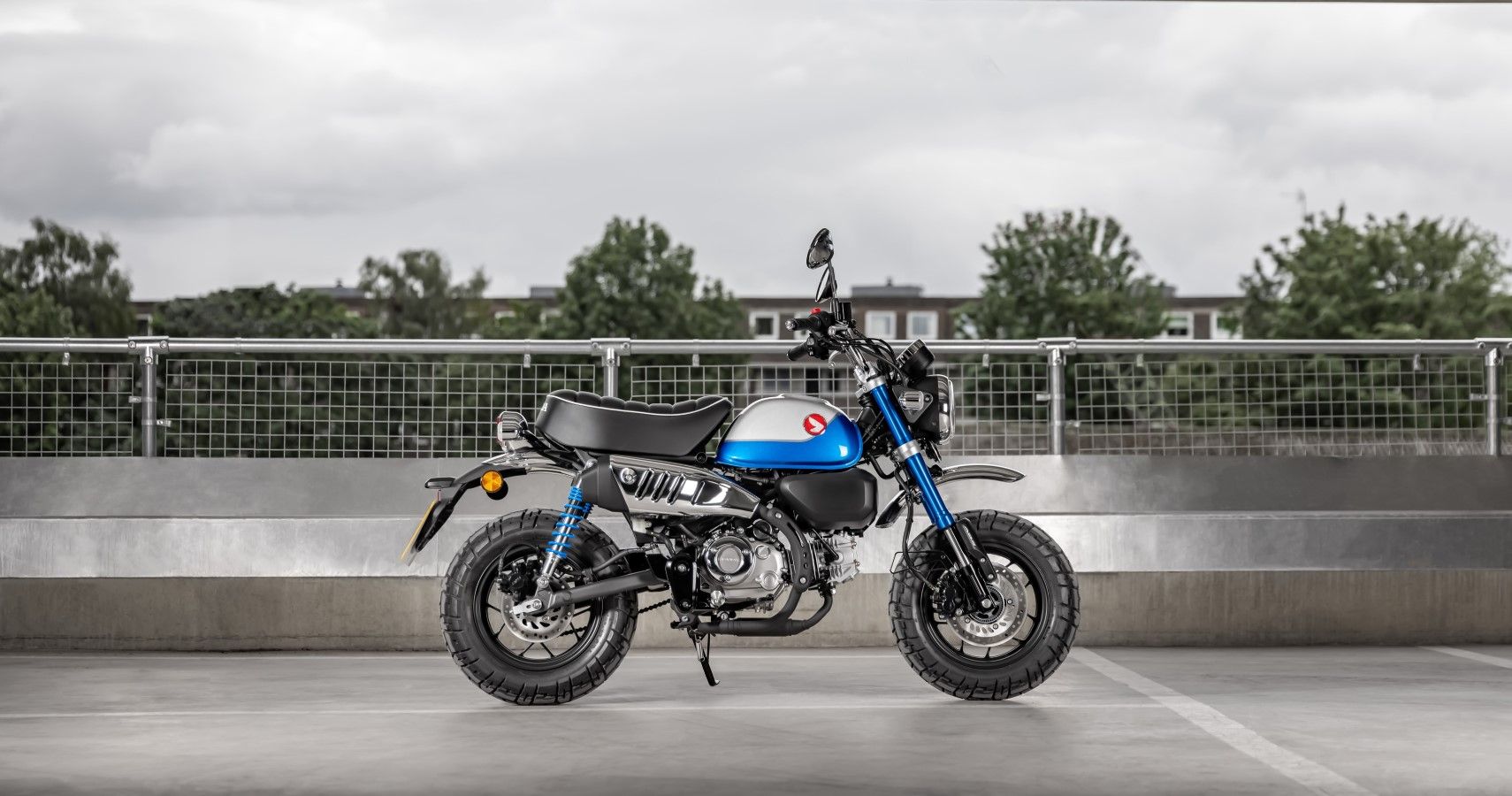 334086_The_Super_Cub_and_Monke