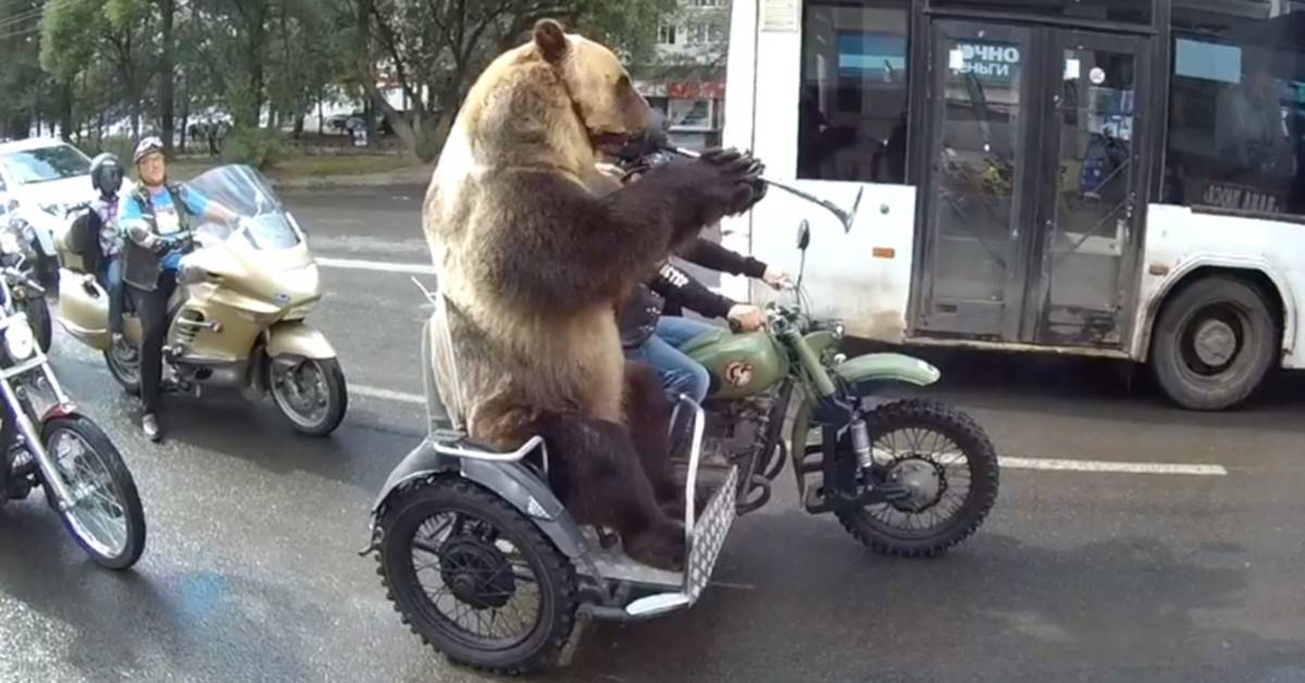 These Are The Strangest Driving Laws That Leave Us Scratching Our Heads