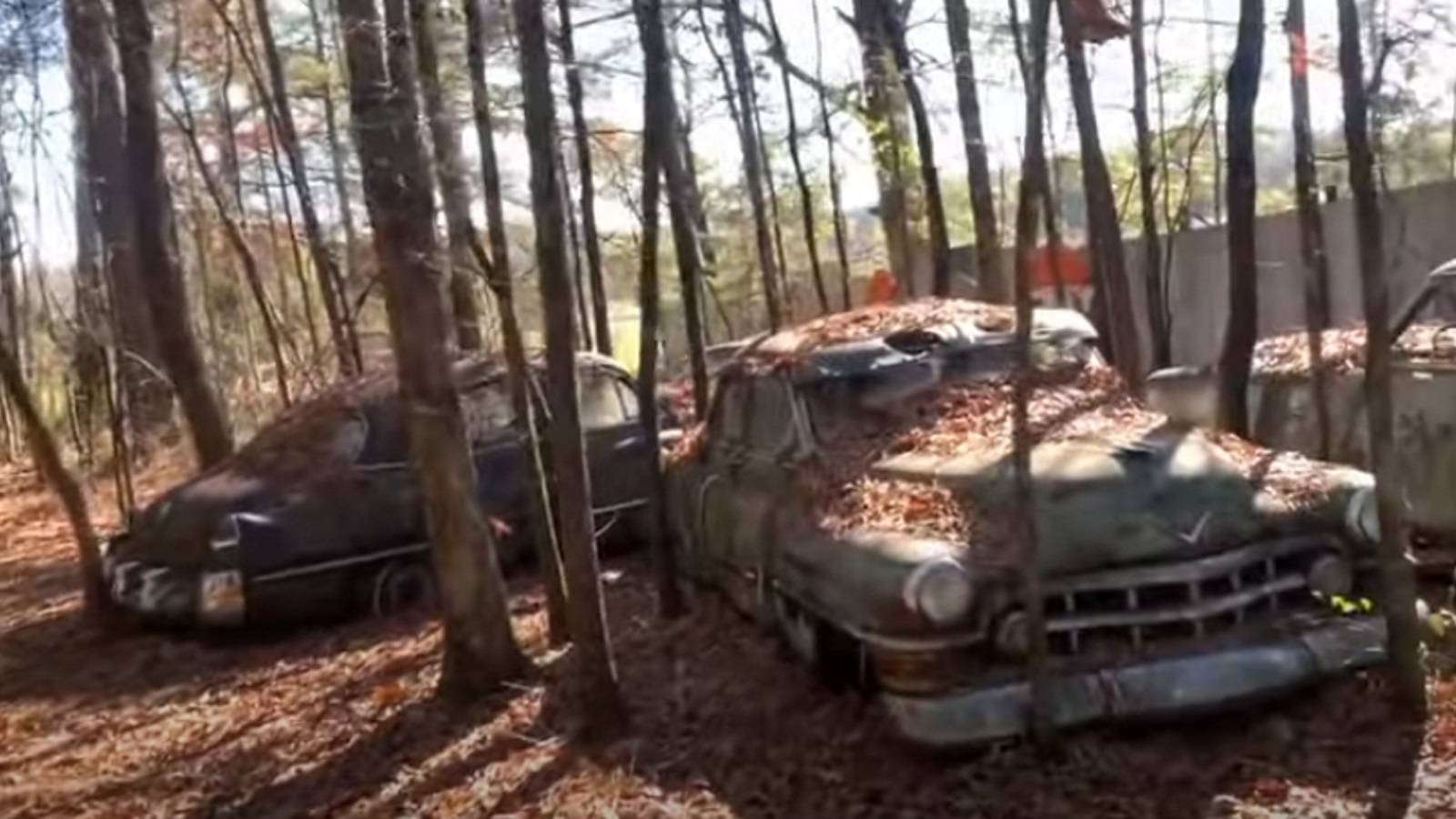 Take An Eerie Tour Of One Of The Largest Car Graveyards In The World