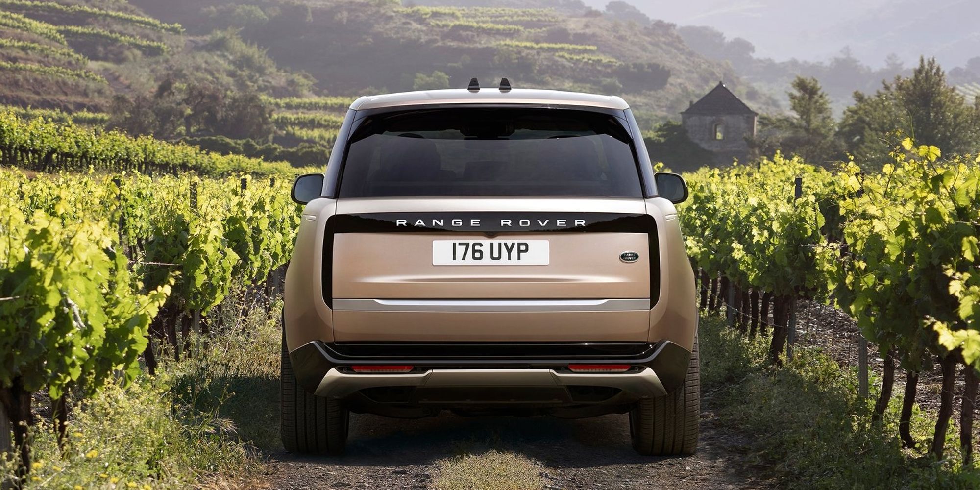 The rear end of the new Range Rover in a vineyard