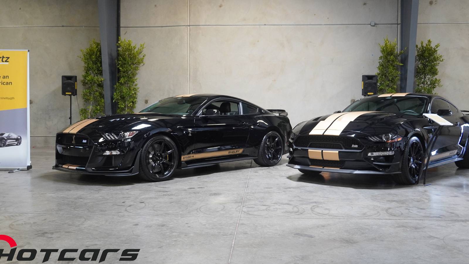 Shelby And Hertz Unveil New GT500-H And GT-H Rent-A-Racers To The Public