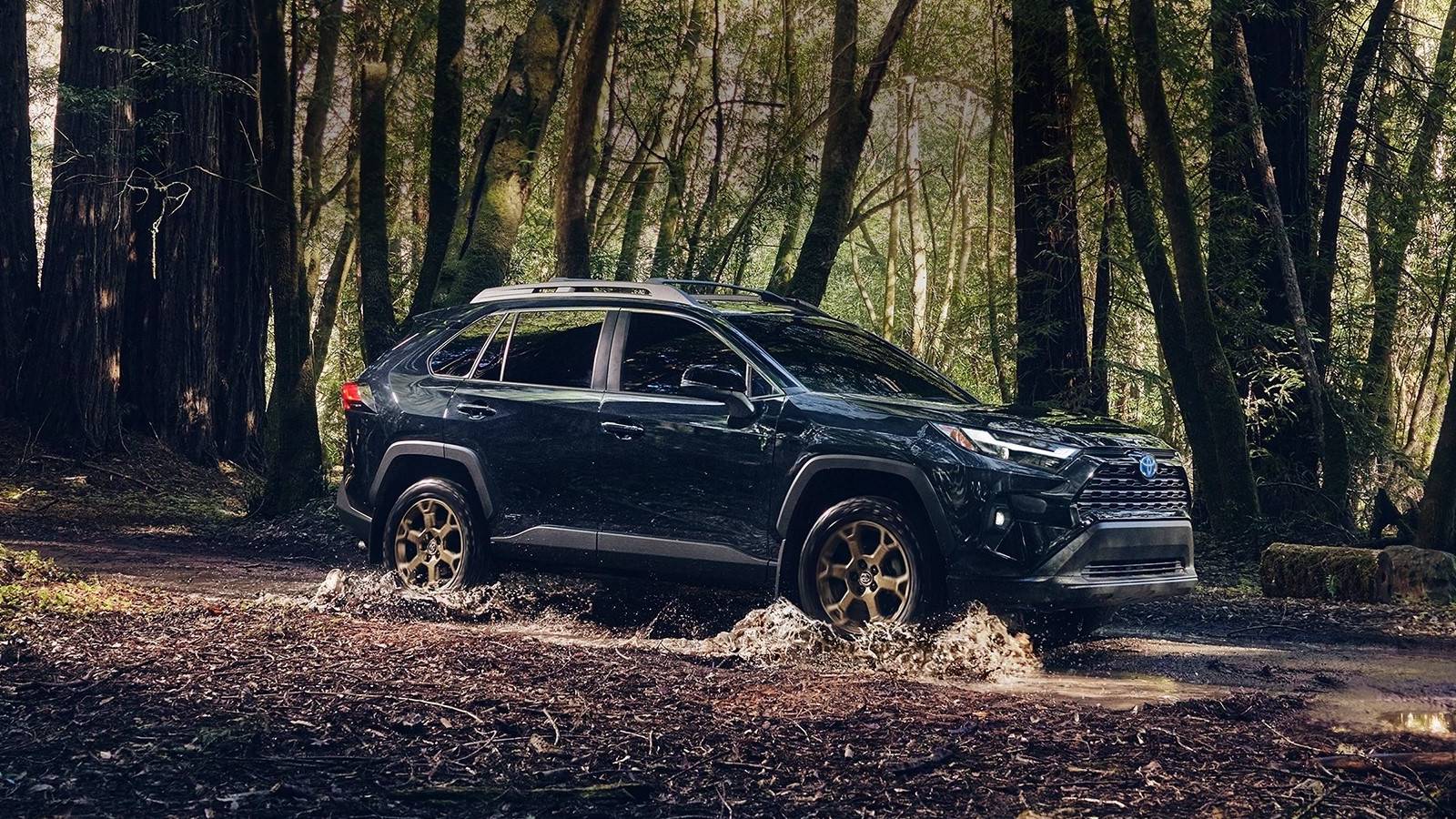 TRD-Tuned Toyota RAV4 Woodland Edition Wants To Follow Your 4Runner Off ...