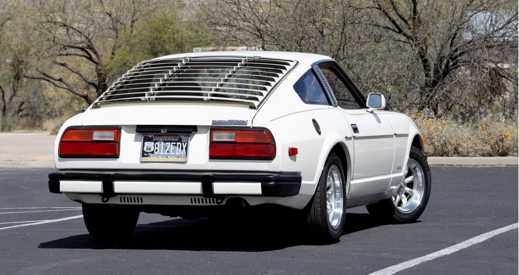 最終値下げ　ビンテージ 50s〜60s Plainview　 美品　スペシャル ビンテージ50's○MR.AXEL PETERSON人物染み込みプリント