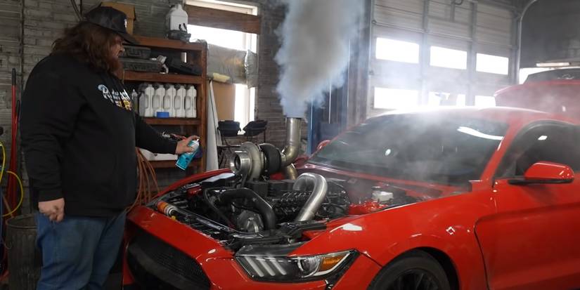 Westen Champlin Smoke Stang