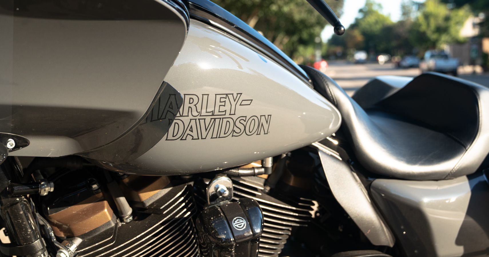 2022 Harley-Davidson Road Glide ST tank