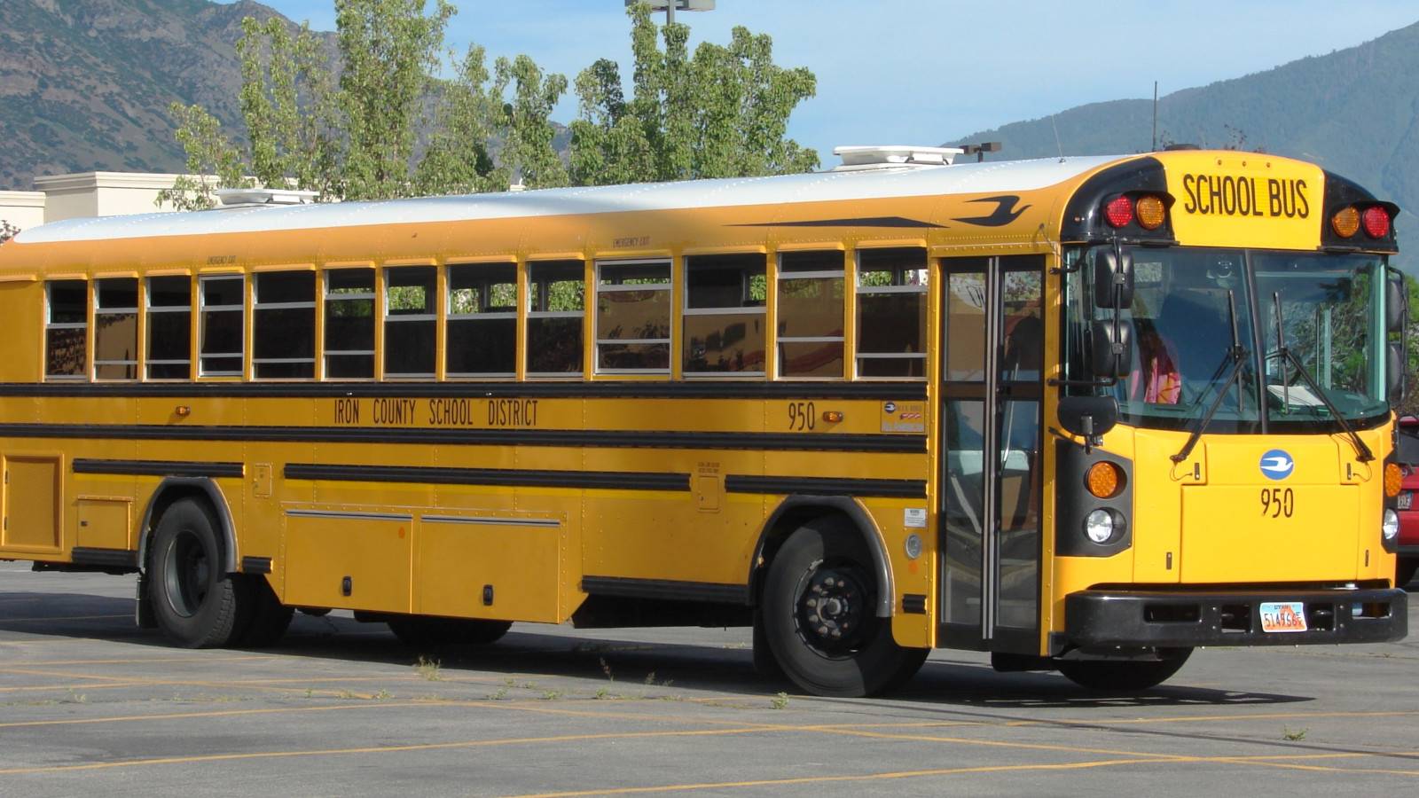 Witness A Young Hero: 7th Grader Takes Control Of Bus After Driver ...