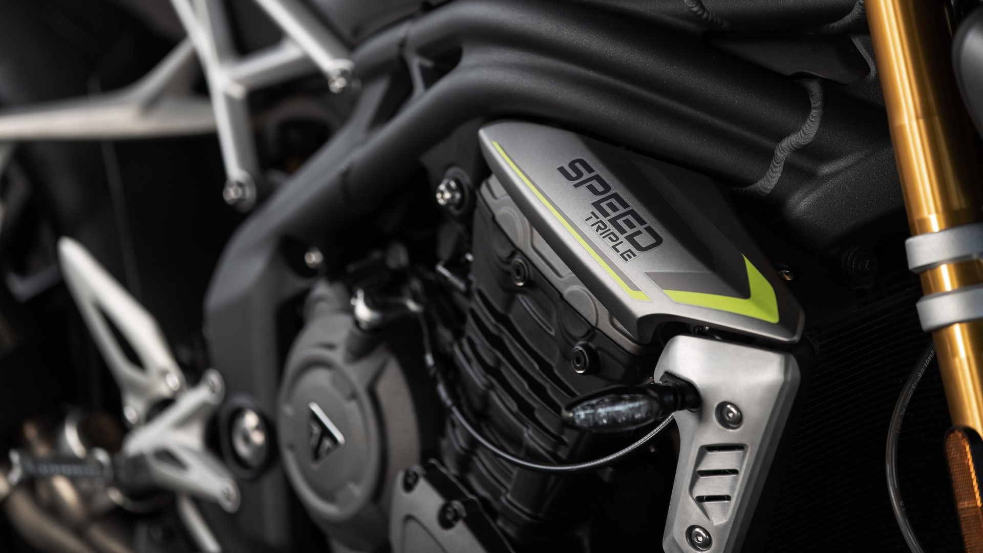 Here's Why The Triumph Triple Engine Is Sheer Excellence