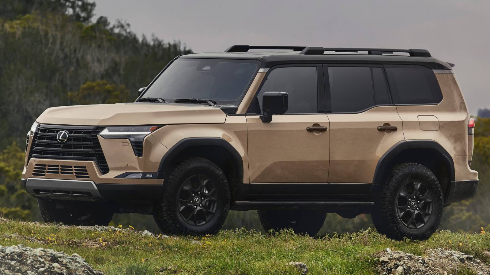 Differences Between The 2024 Lexus GX And 2024 BMW X5