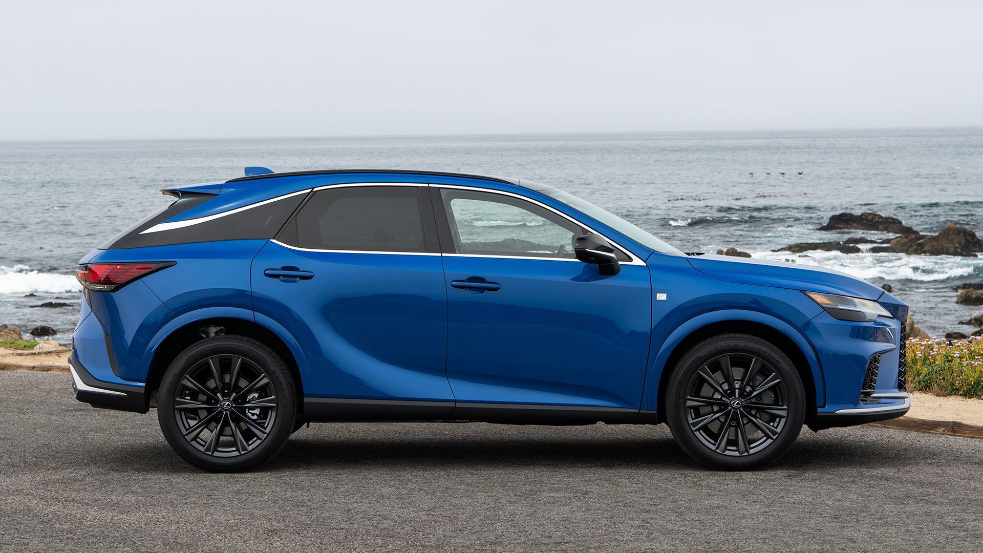 Differences Between The 2024 Lexus RX And 2024 Genesis GV70