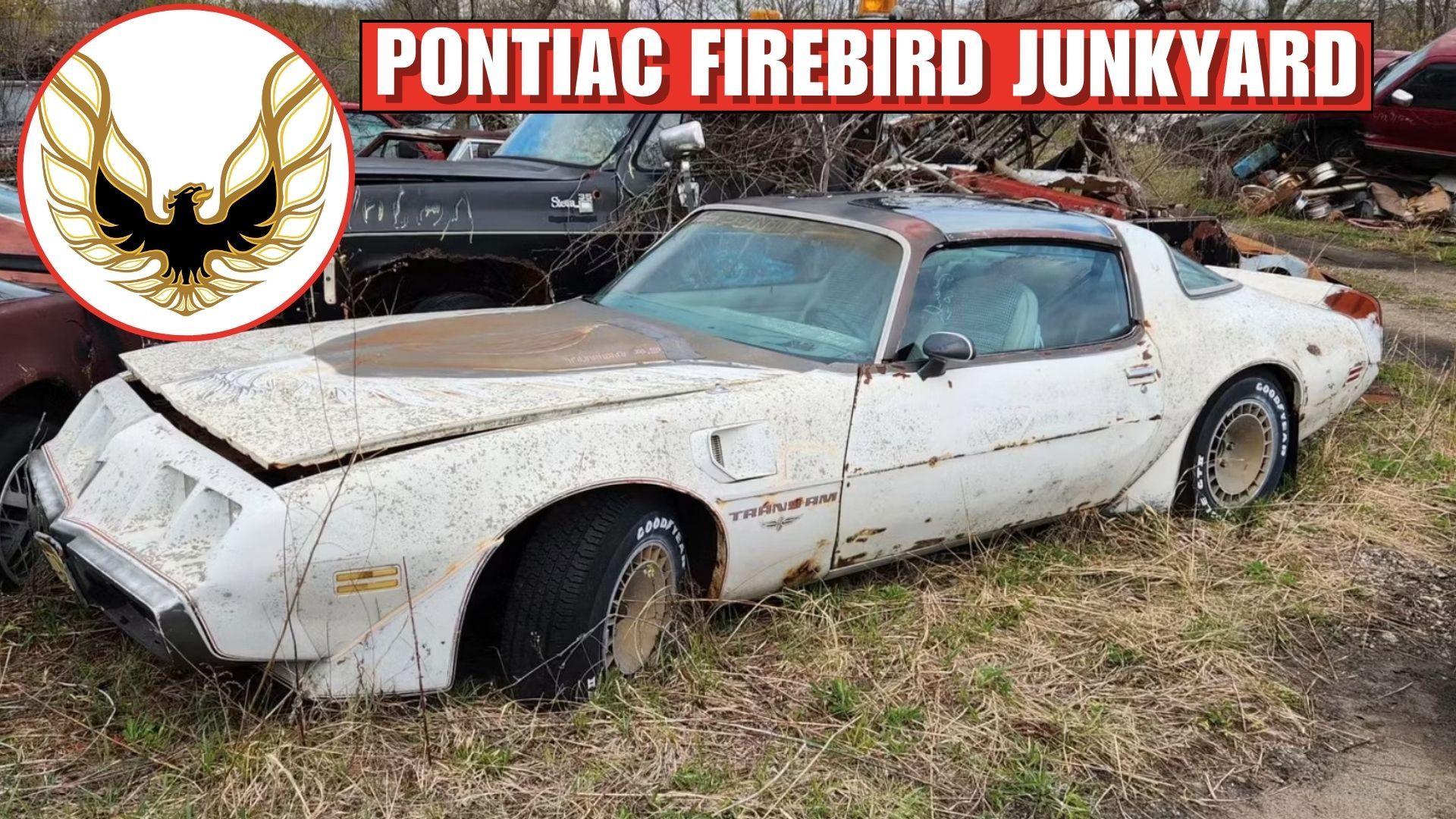 Wisconsin Junkyard Holds A Plethora Of Pontiac Firebirds