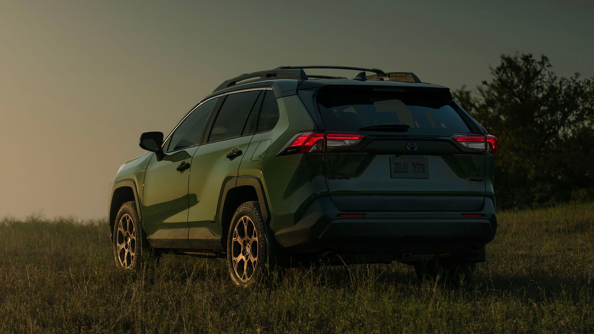 A Complete Guide To The 2024 Honda CR-V