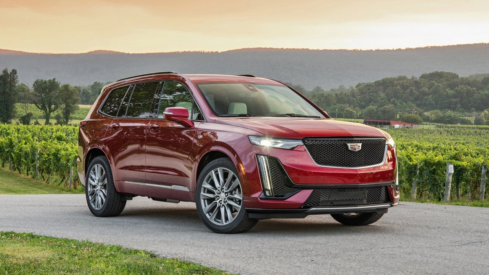 ラクレットパスカル Amazon.co.jp: デバイヤー ラクレットパスカル ペーニュ無 3002・00