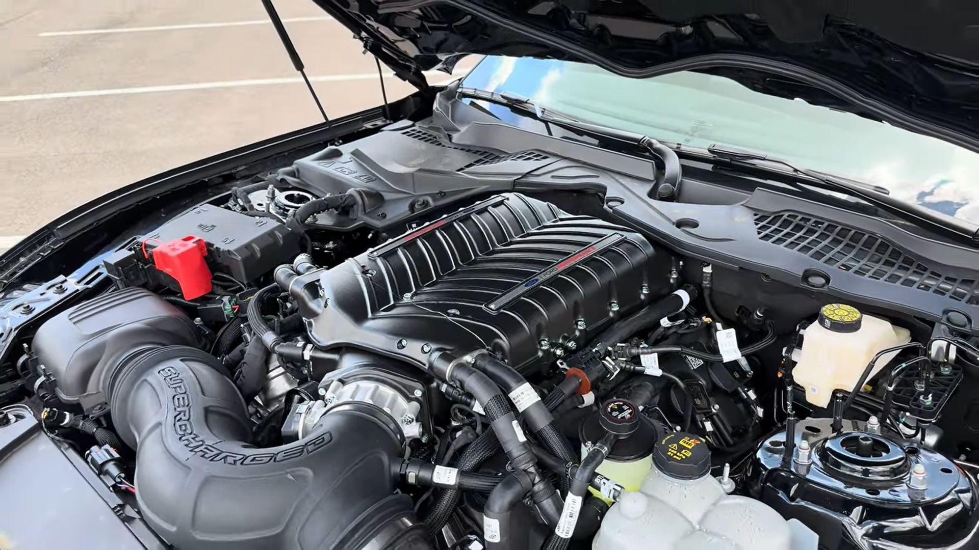 The 5.0-Liter V8 Muscle Car With The Most Torque