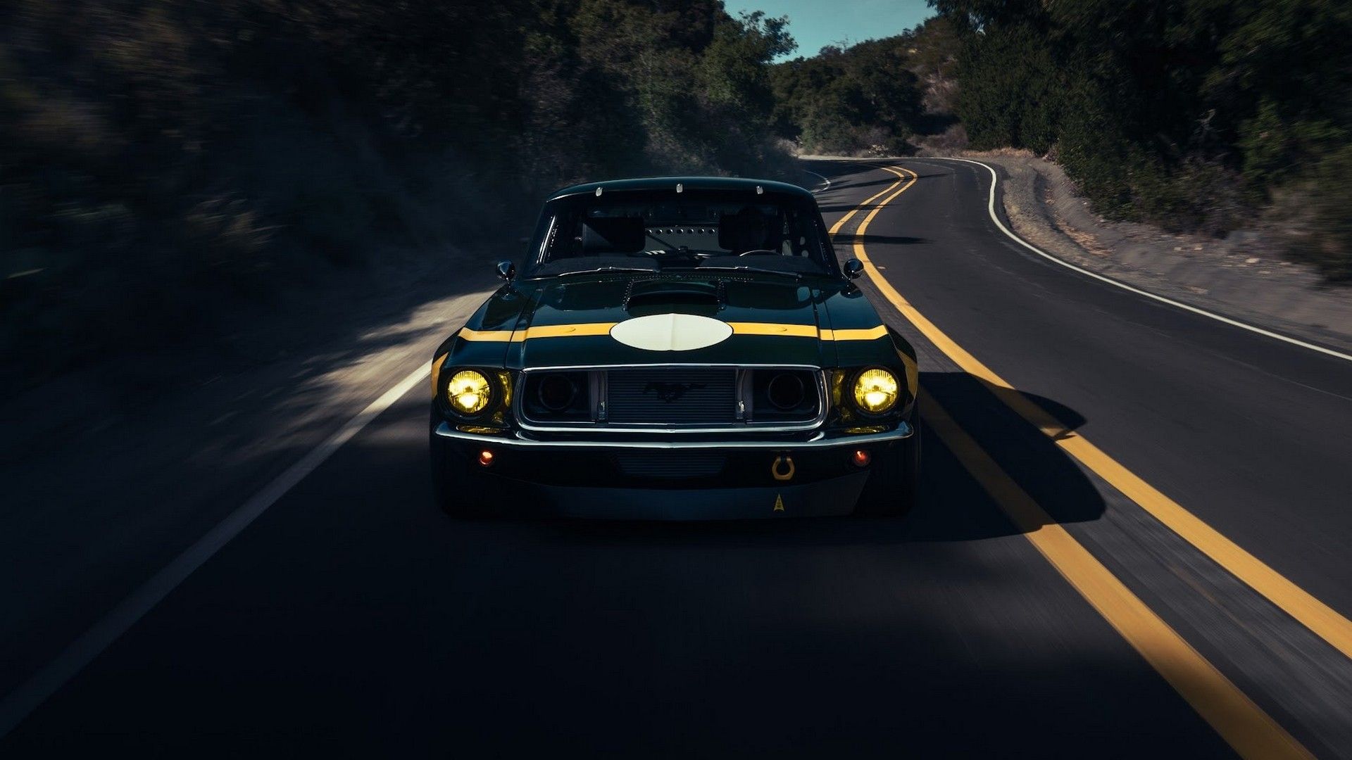 The Ruffian FIA Fastback Mustang Looks Like It Just Jumped Off Of A ...