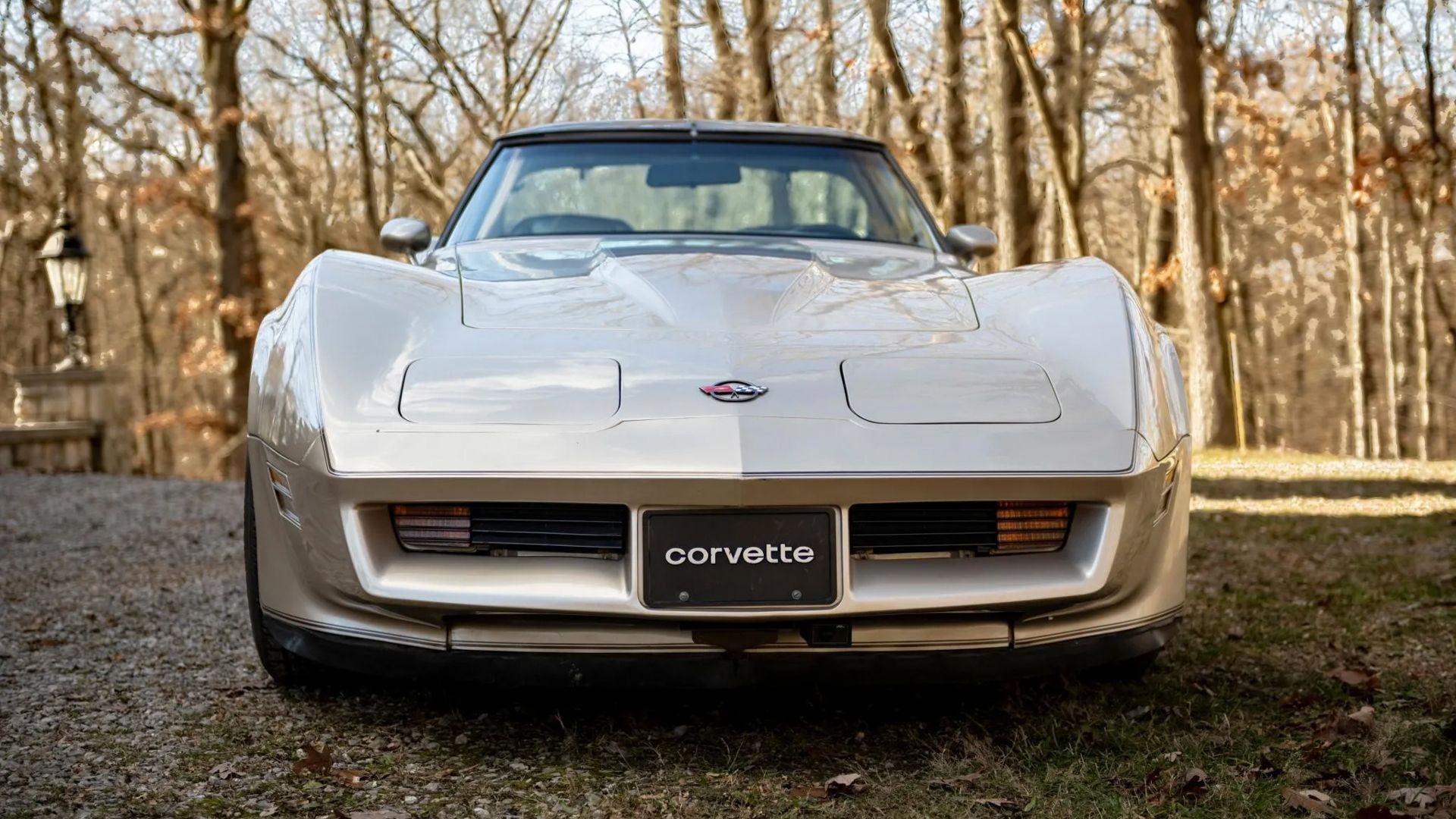 Auto art　1982　CHEVROLET　CORVETTE コルベット REVIEW: AUTOart 1982 Corvette Collector Edition • DiecastSociety.com