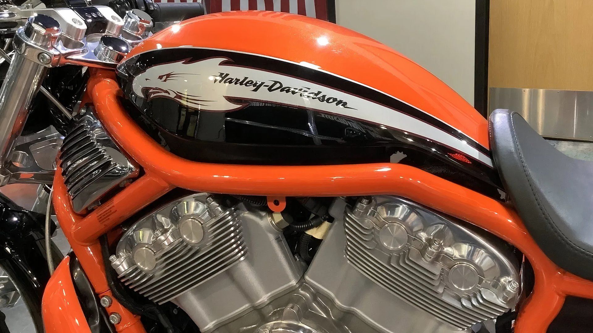 cropped-img_4728-51904-scaled.