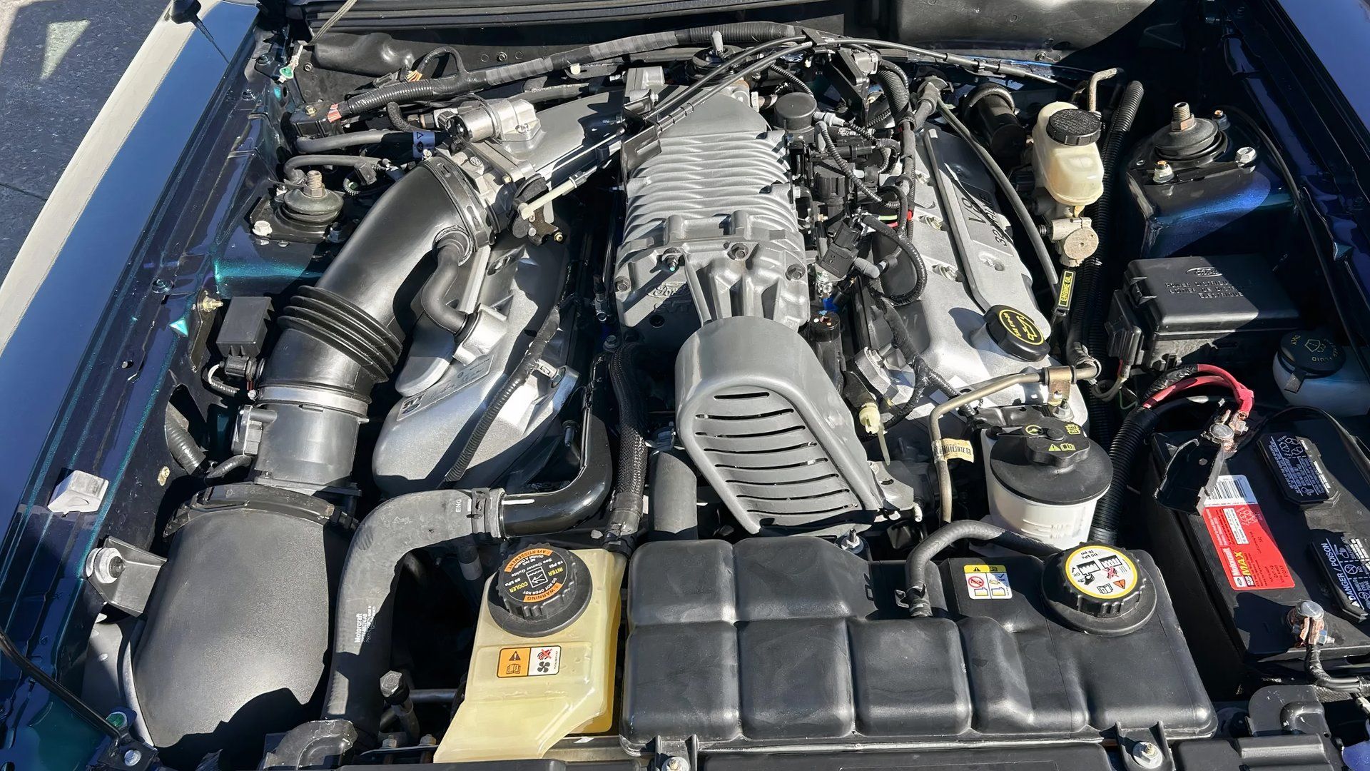 2004 Mustang SVT Cobra In Mystichrome Is One Of 495