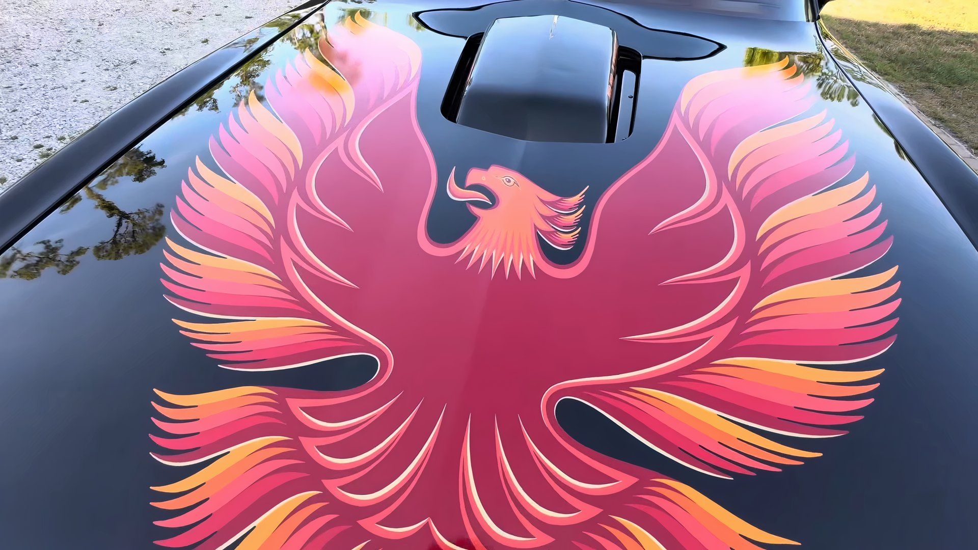 Incredible Collection Of Pontiac Trans Ams Found In Tennessee