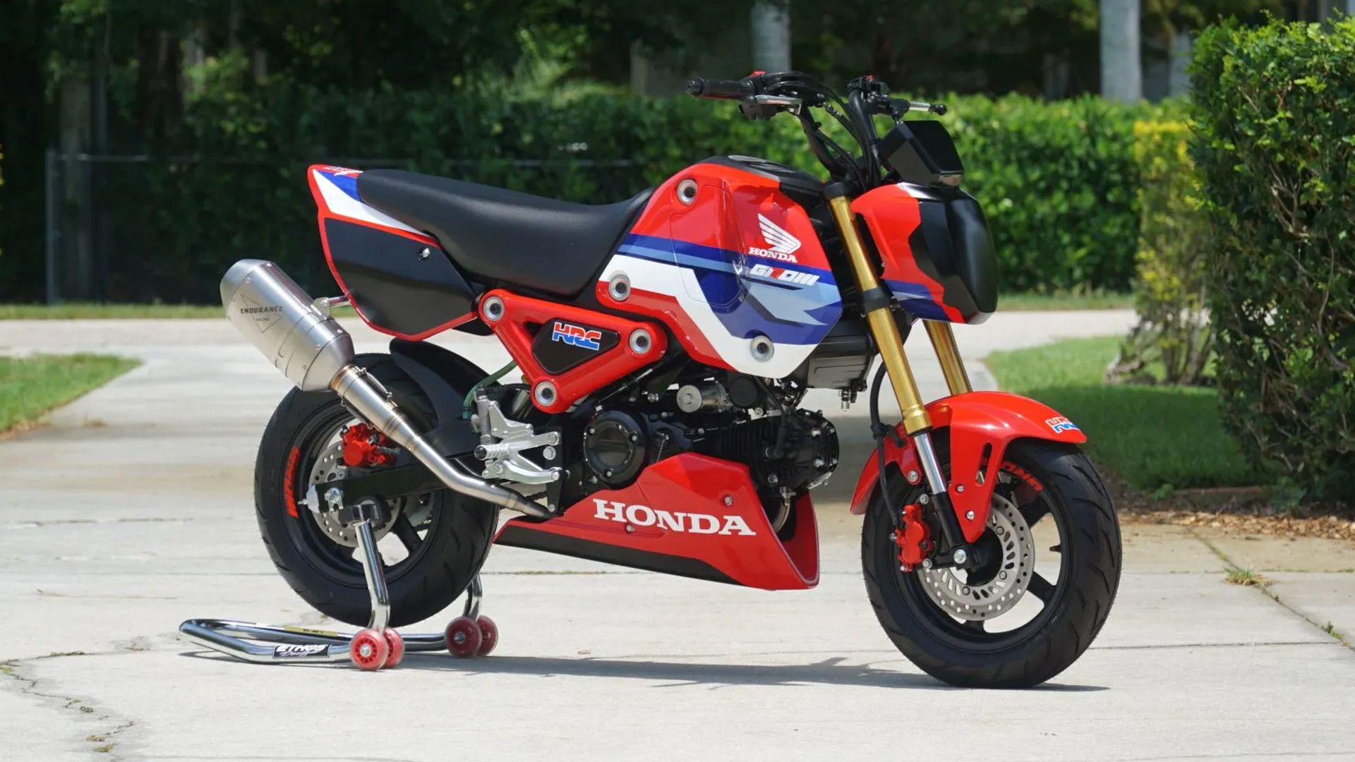 2021 Honda Grom HRC Cup Is On Auction In Rare Chance At US Sale
