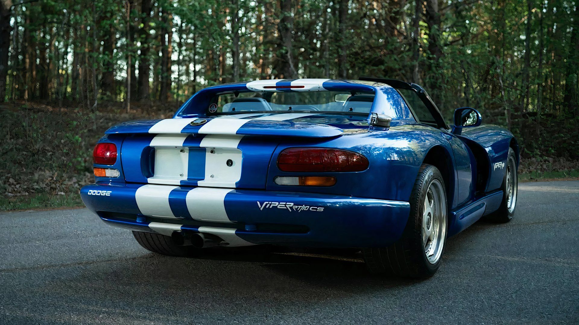 shelby-viper-rear-three-