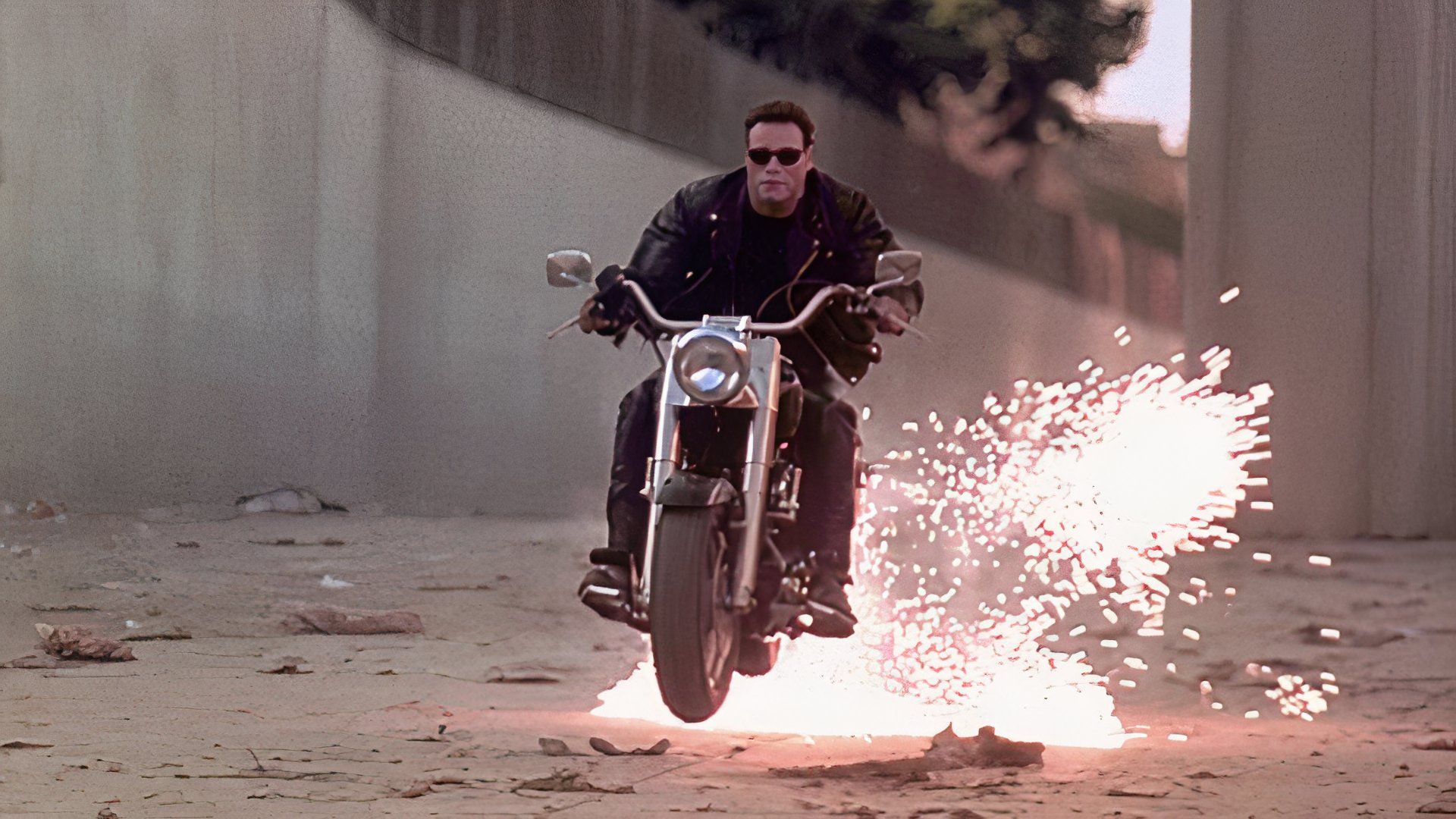 Arnold Schwarzenegger Immortalized This Harley-Davidson