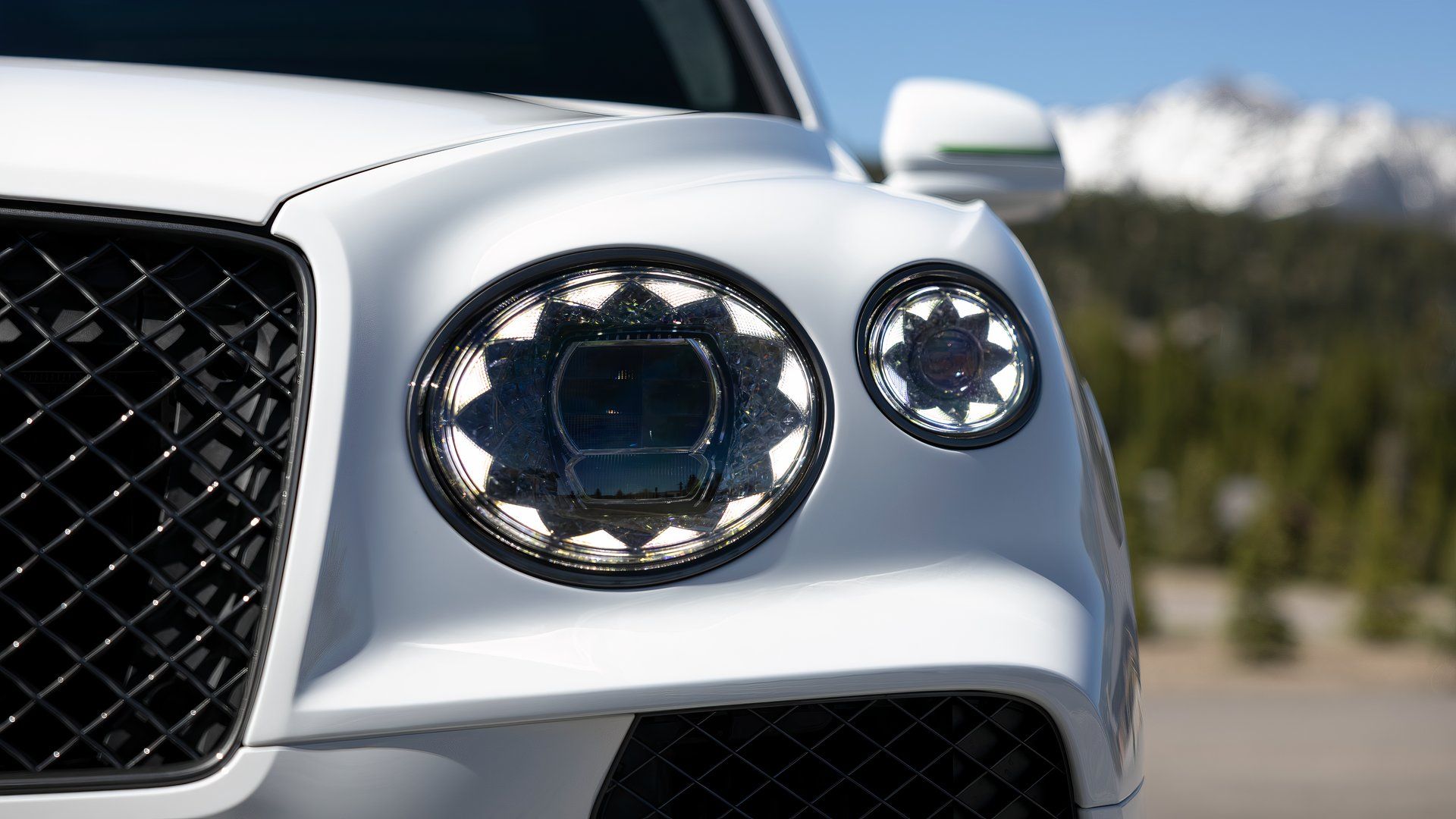 This Isn't Your Chauffeur's Bentley—It's Something Far Wilder