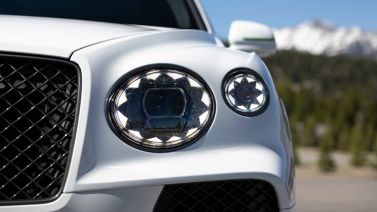 This Isn't Your Chauffeur's Bentley—It's Something Far Wilder