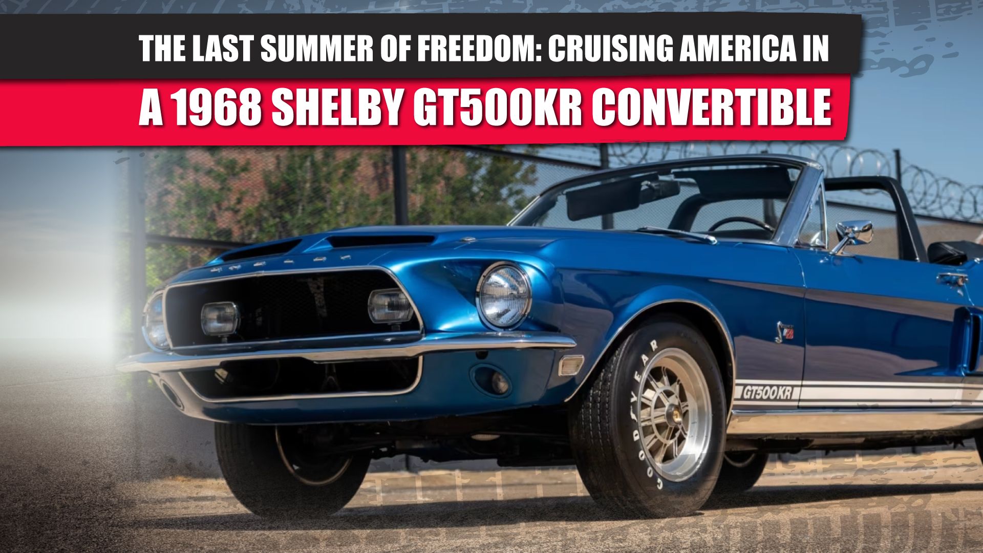 the-last-summer-of-freedom-