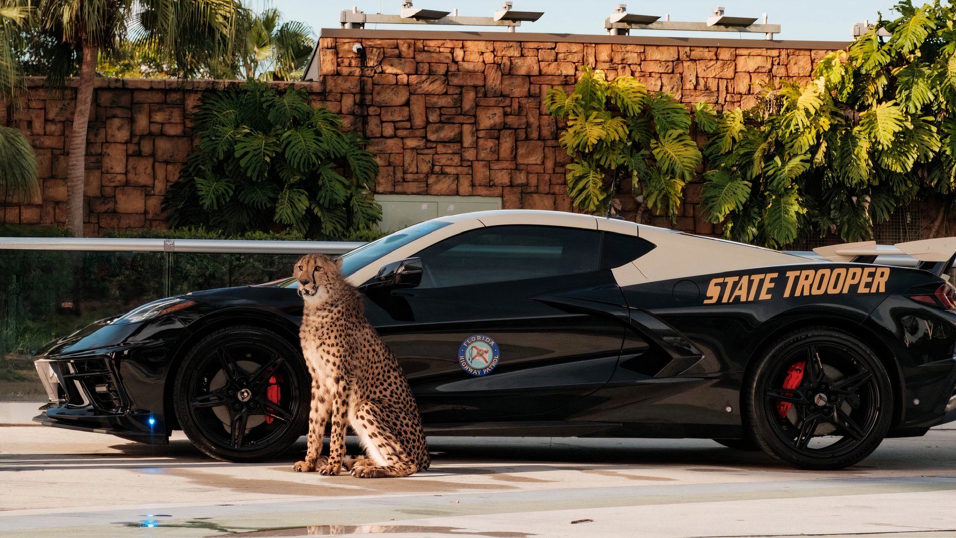 Florida Highway Patrol's C8 Corvette Crowned America's Best Looking Cruiser, image size:1500x844