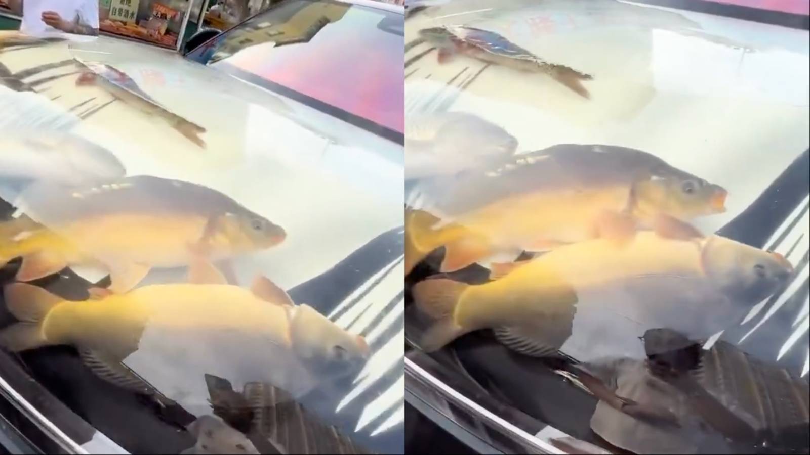 Live From China: A Fish Tank SUV Nobody Asked For