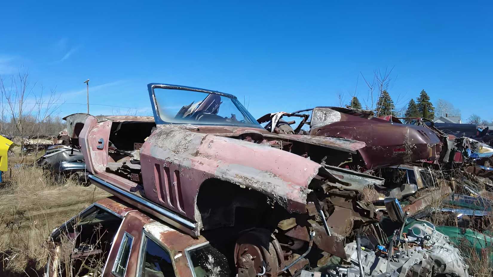 Abandoned Corvette Collection Discovered in Private Michigan Yard