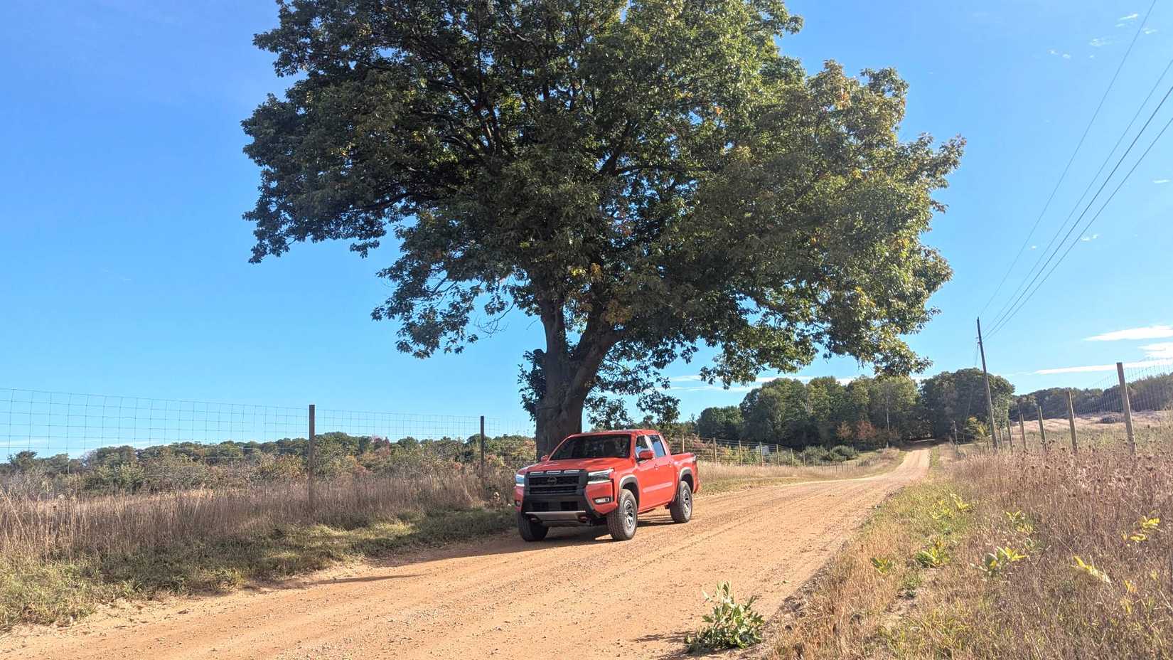 beautiful cotton sarees