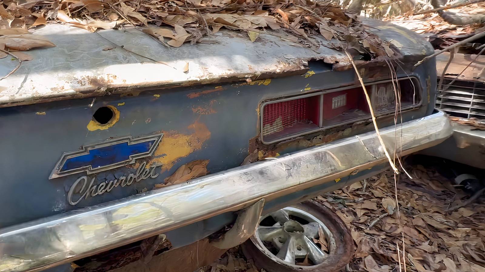 Forest Discovery Shows America’s Greatest Muscle Cars In Ruin