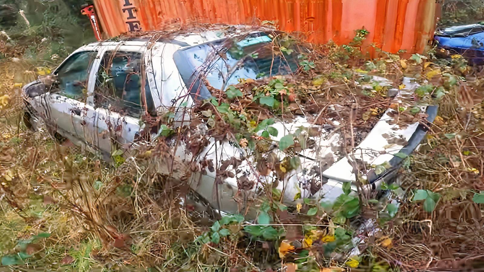 Rare Ford Sierra 2000E Found in UK Woods: Rarer than Cosworth