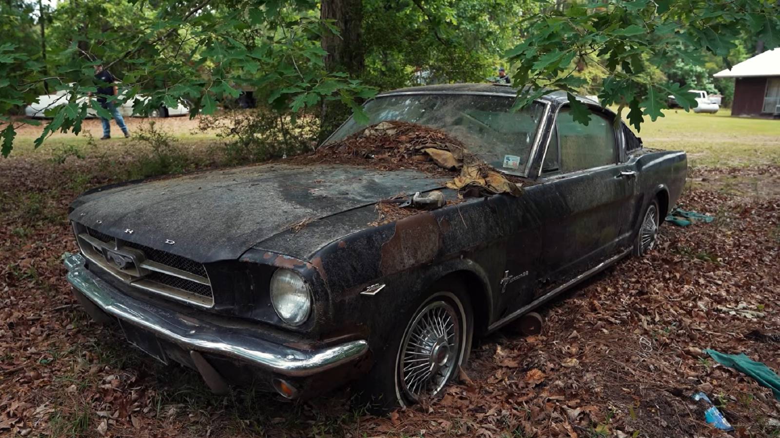 A Forgotten Mustang Fastback And Two Jeep CJs Prove You Can Find Cool Things In Louisiana