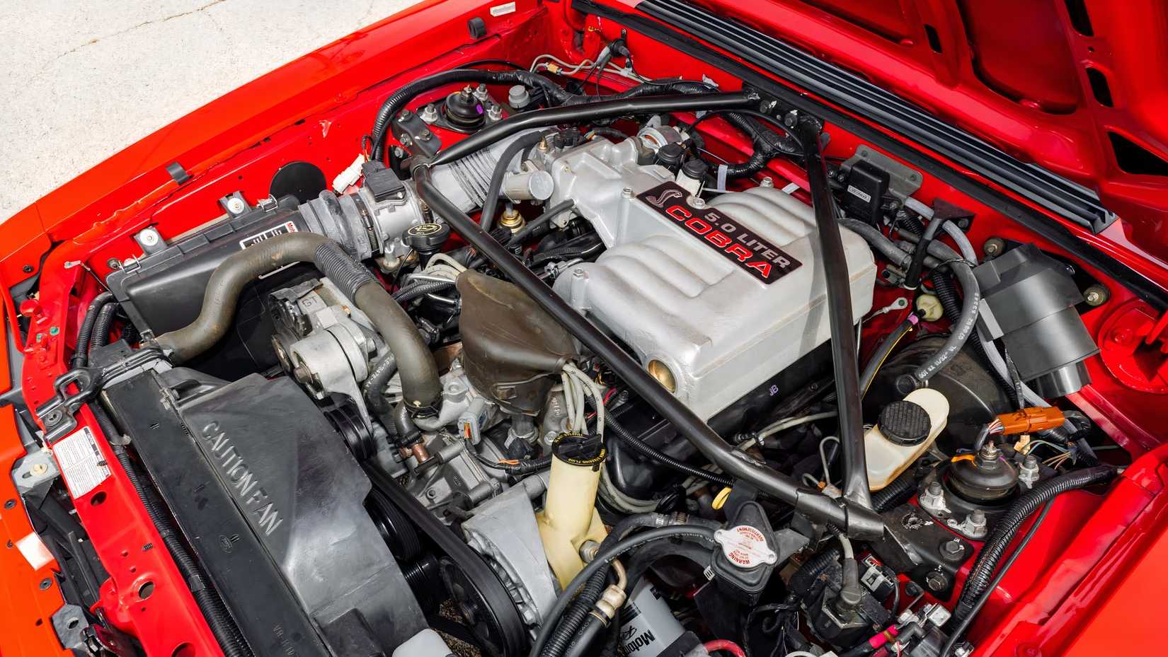The One-Year Mustang That Quietly Became A Collector Legend