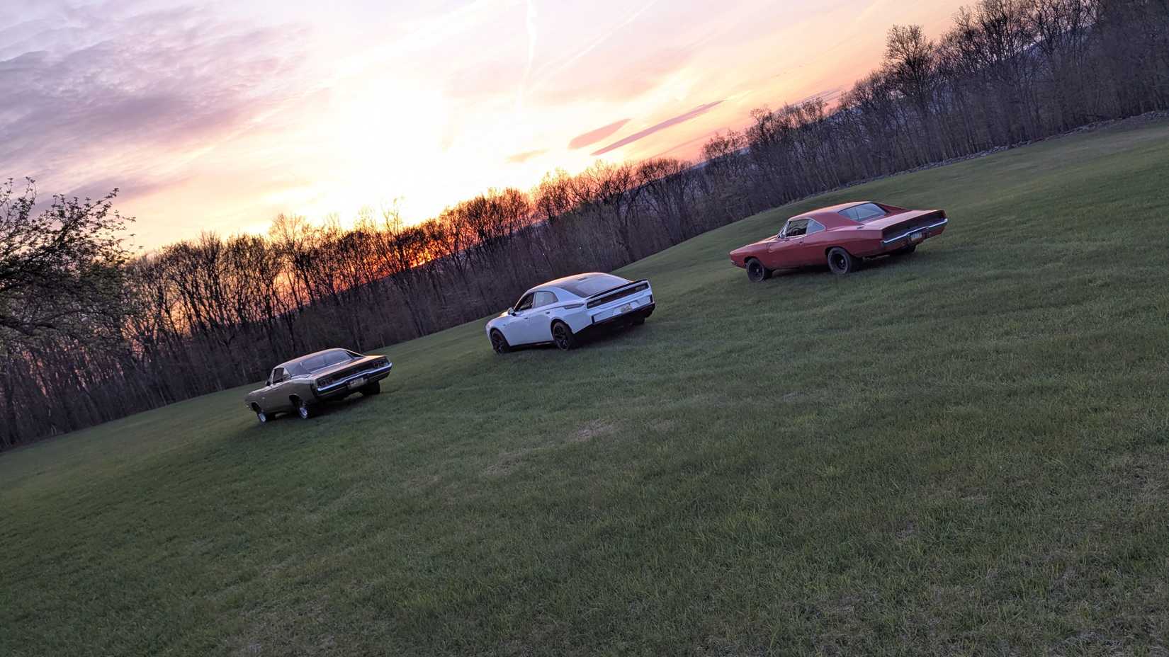SIXPACK Charger and Sixties Chargers in field