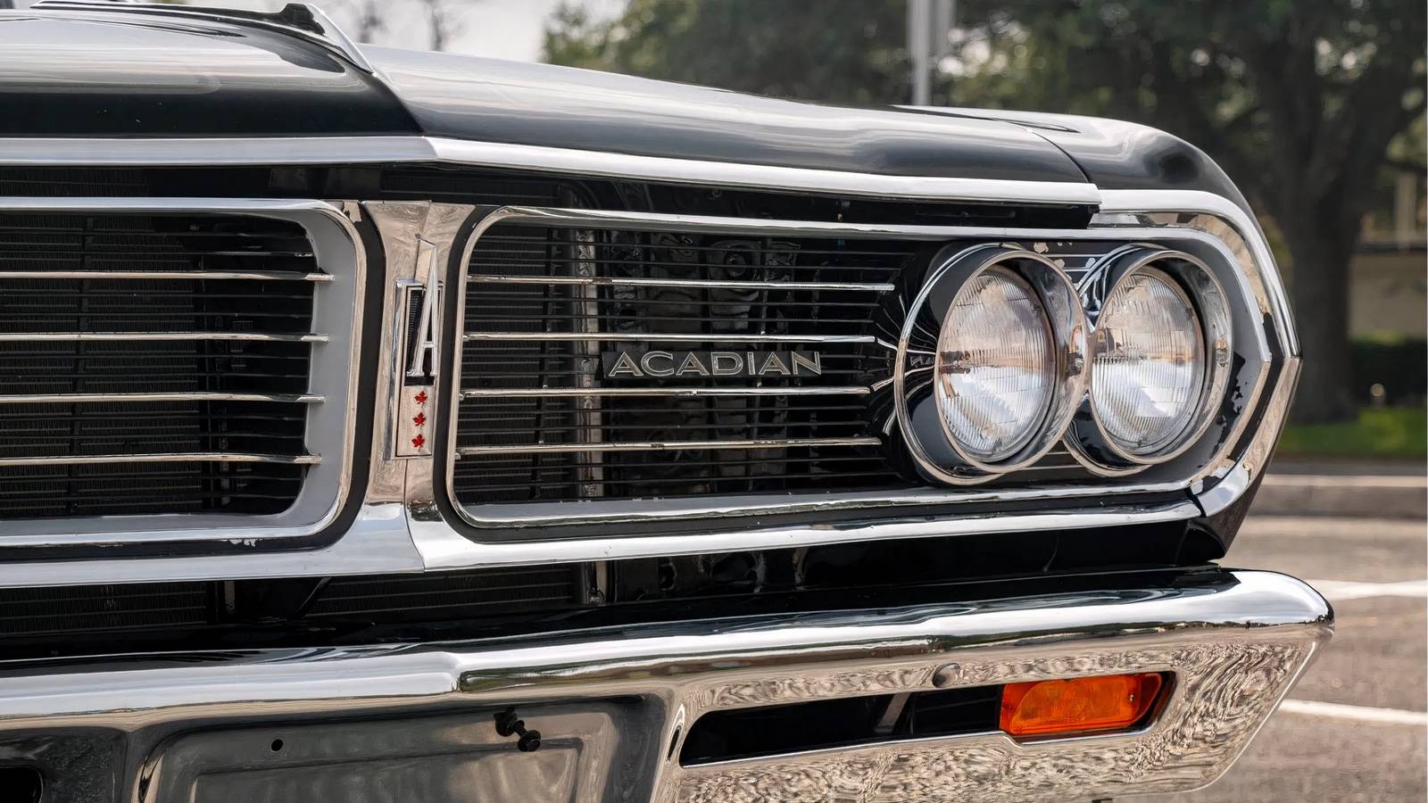 The Muscle Car TikTok Hasn't Discovered Yet