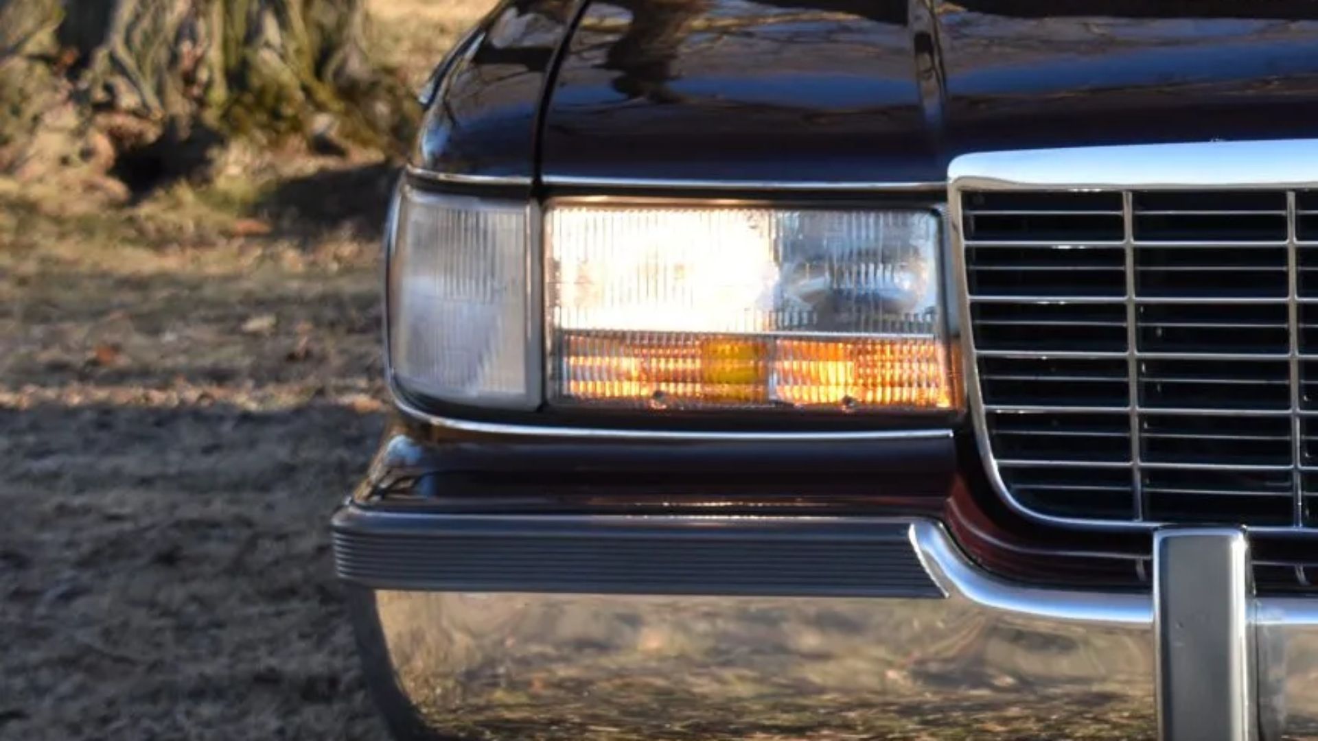 最終値下げ Carl Martin DeLayla XL The Forgotten Cadillac That Shared Its V8 With The Corvette And